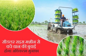 सीडलर राइस  मशीन से करें धान की बुवाई होगा अधिकतम मुनाफा, आइए Khetivyapar पर जानें